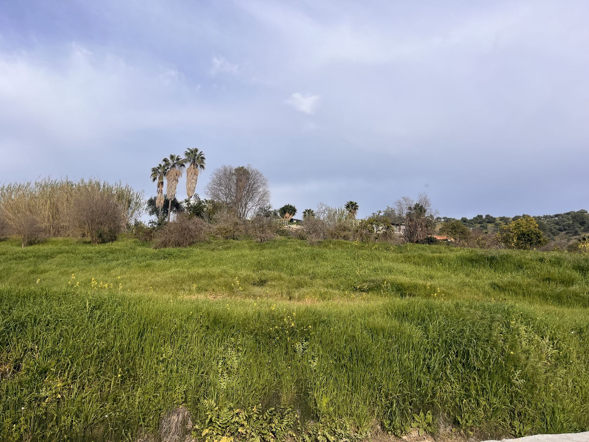 Property main view 2