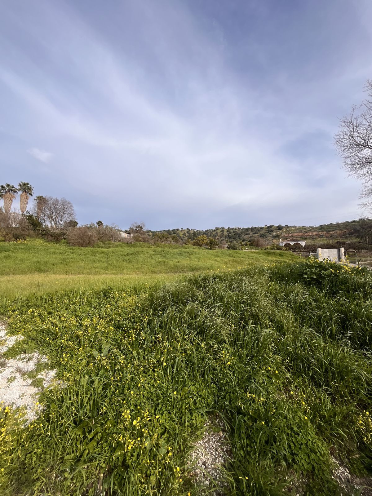 Property main view 8