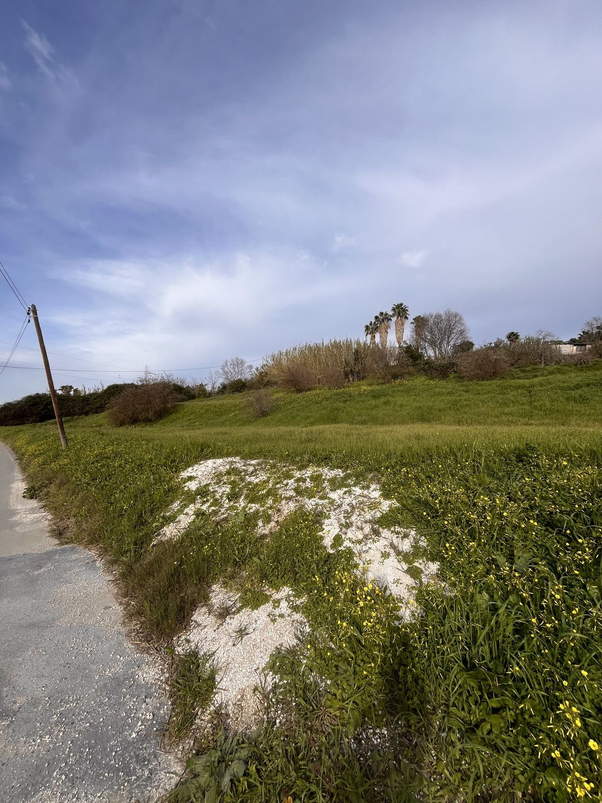 Property main view 9