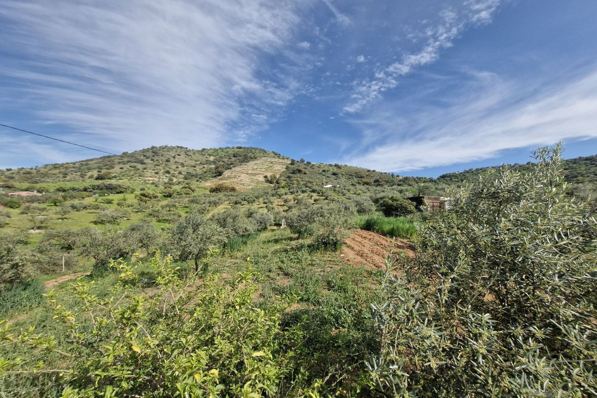 Property main view 19