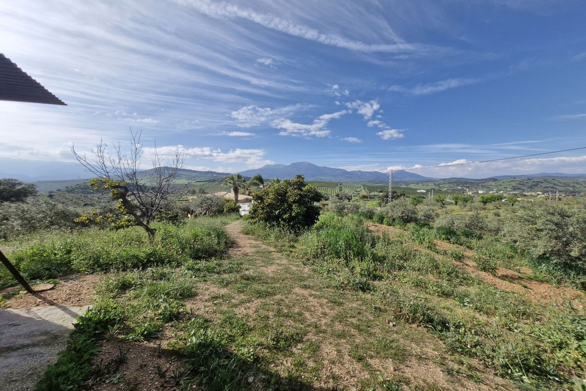 Property main view 22