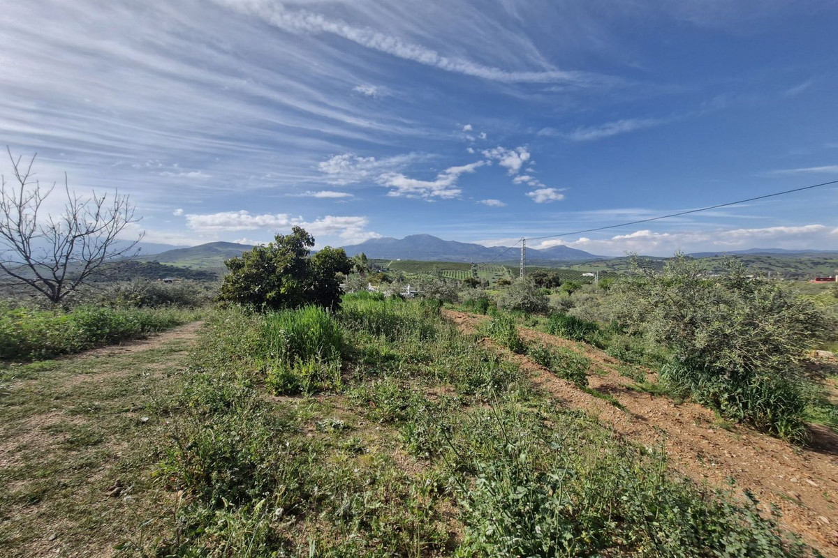 Property main view 23