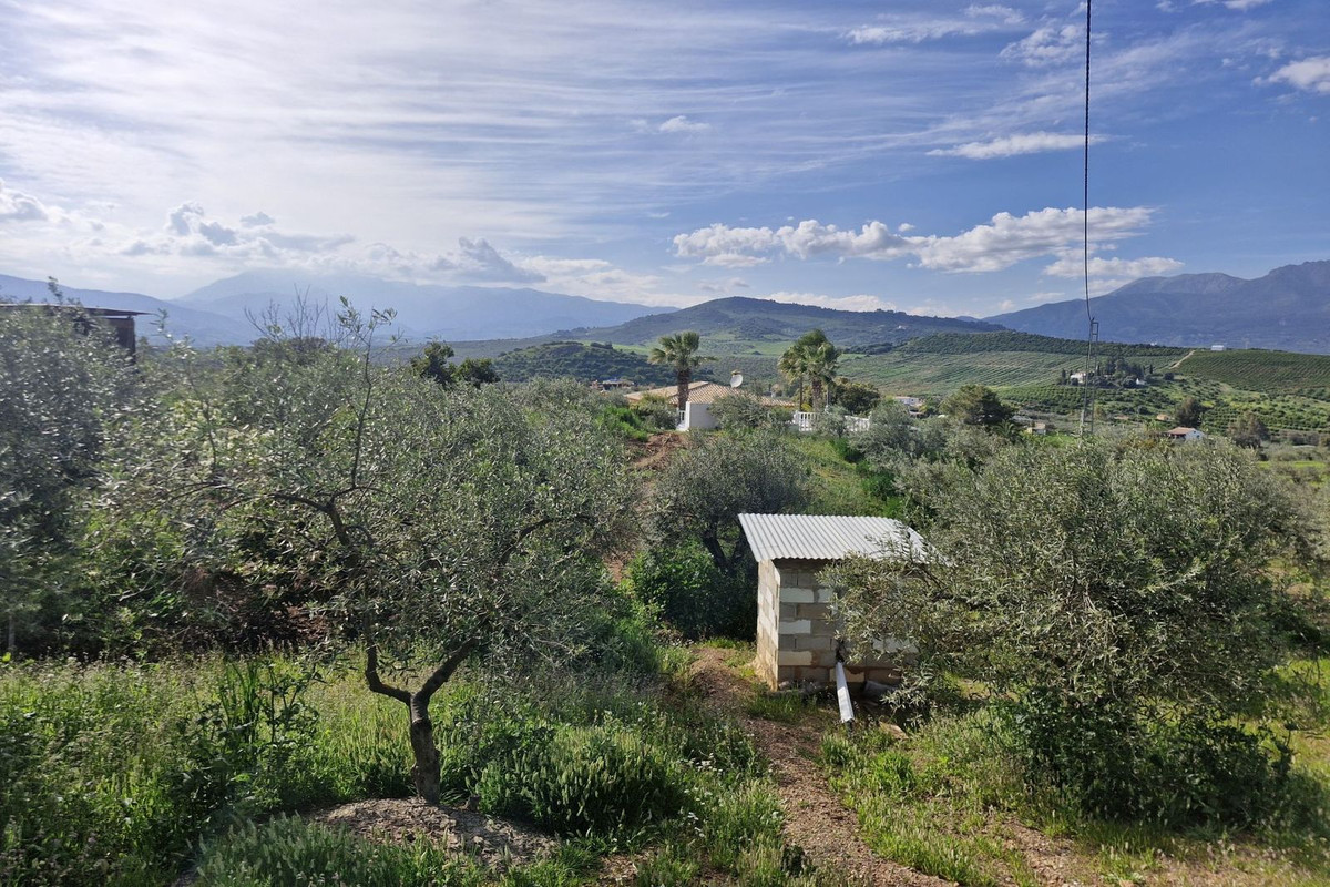 Property main view 24