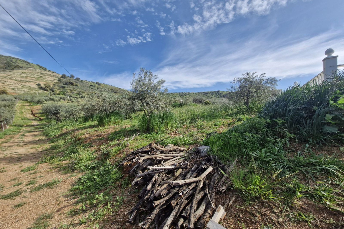 Property main view 25