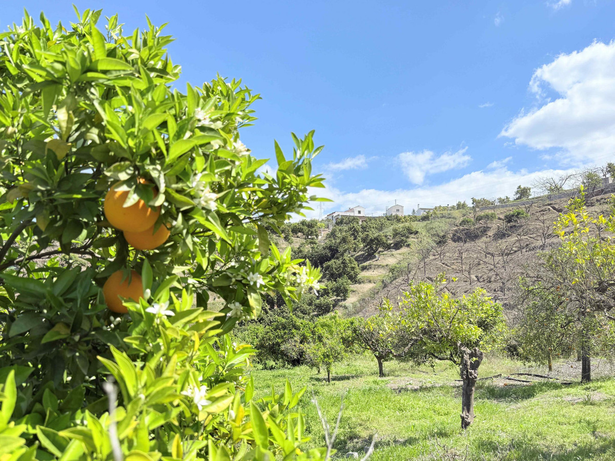 Property main view 30