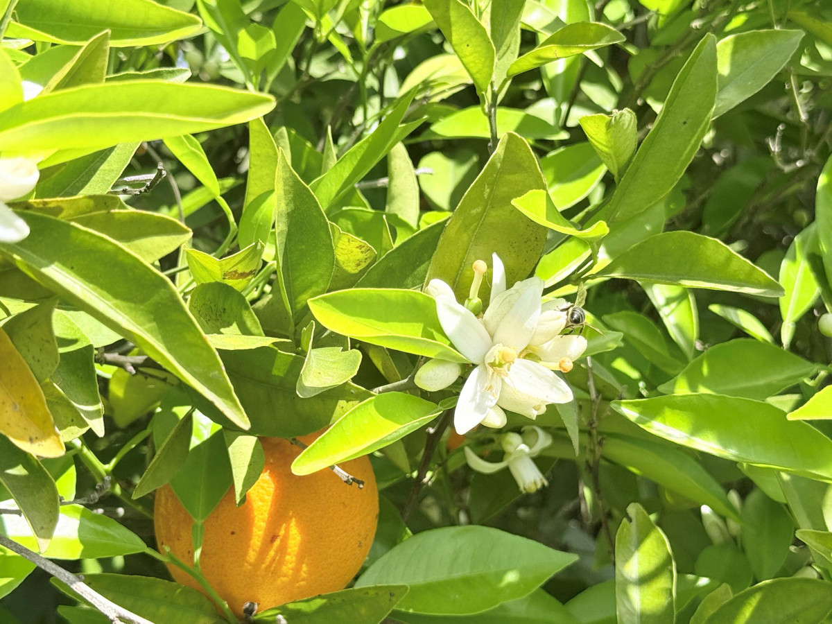 Property main view 32