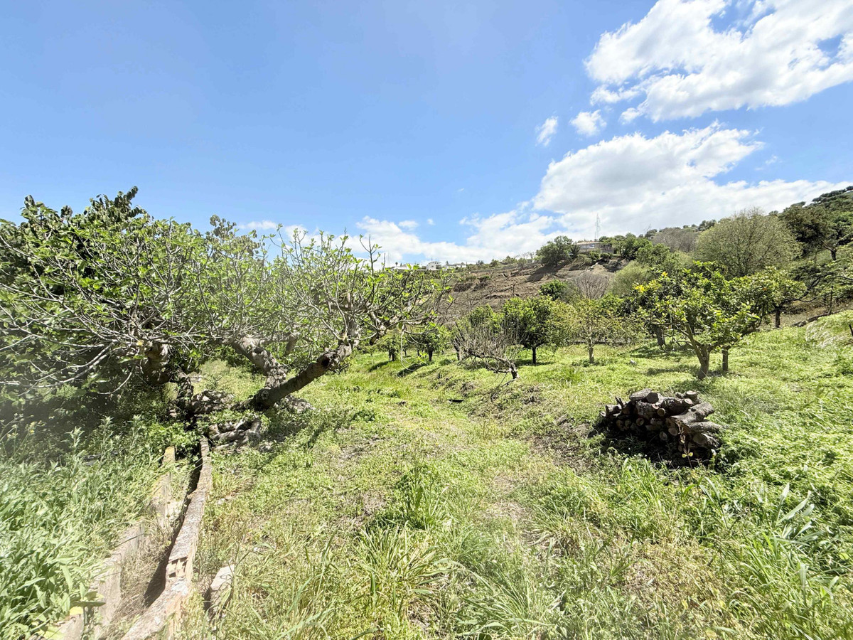 Property main view 29