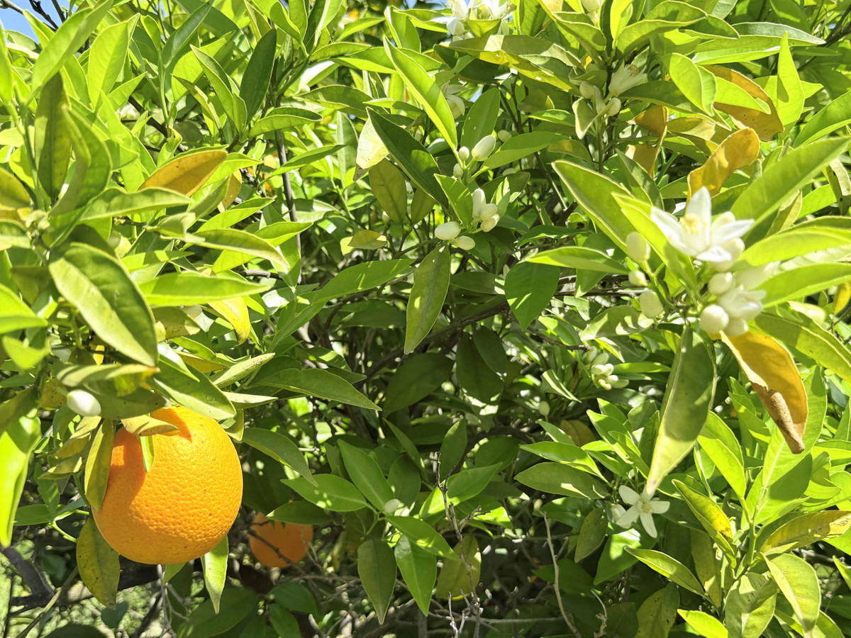 Property main view 31