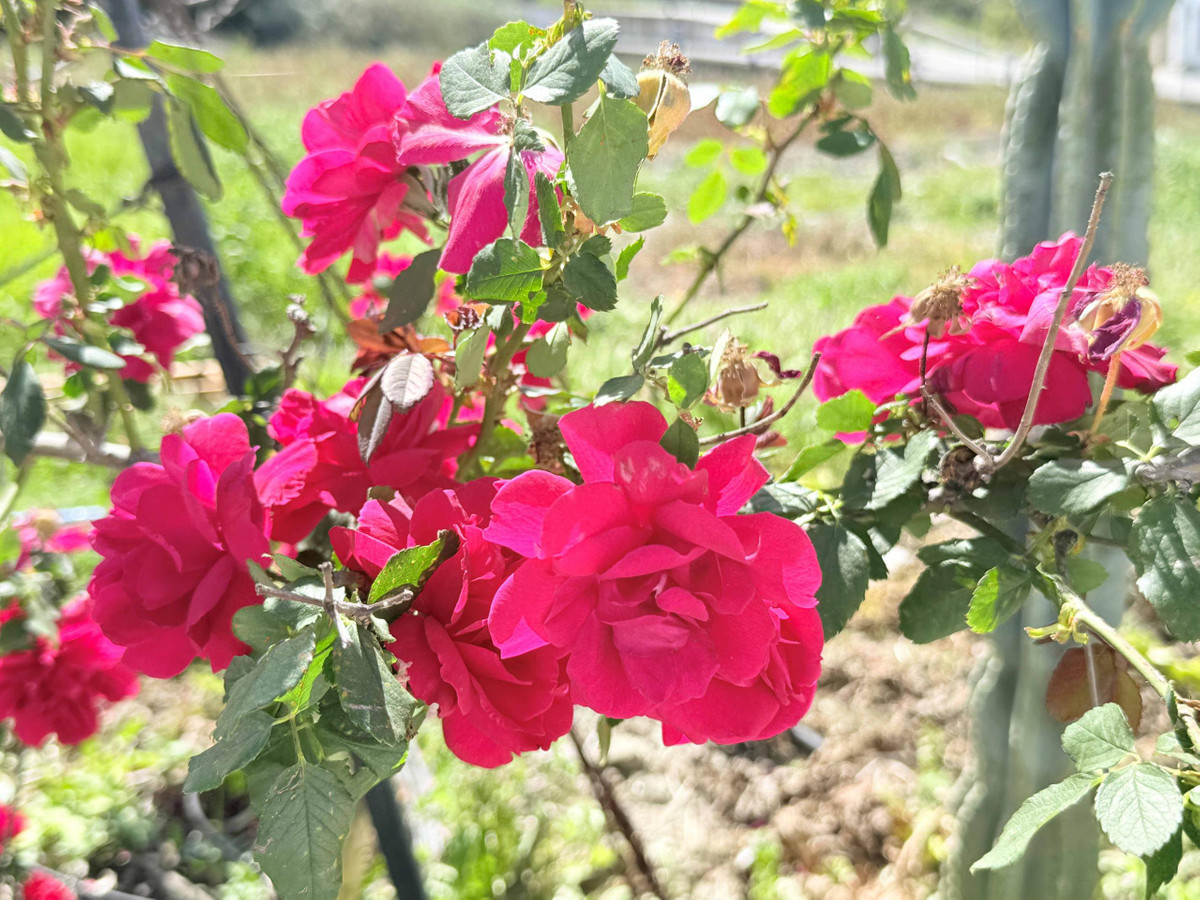 Property main view 34