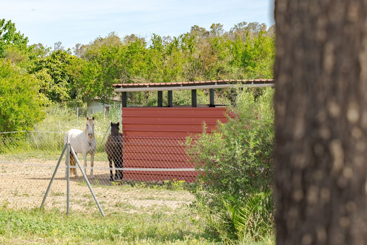 Property main view 50