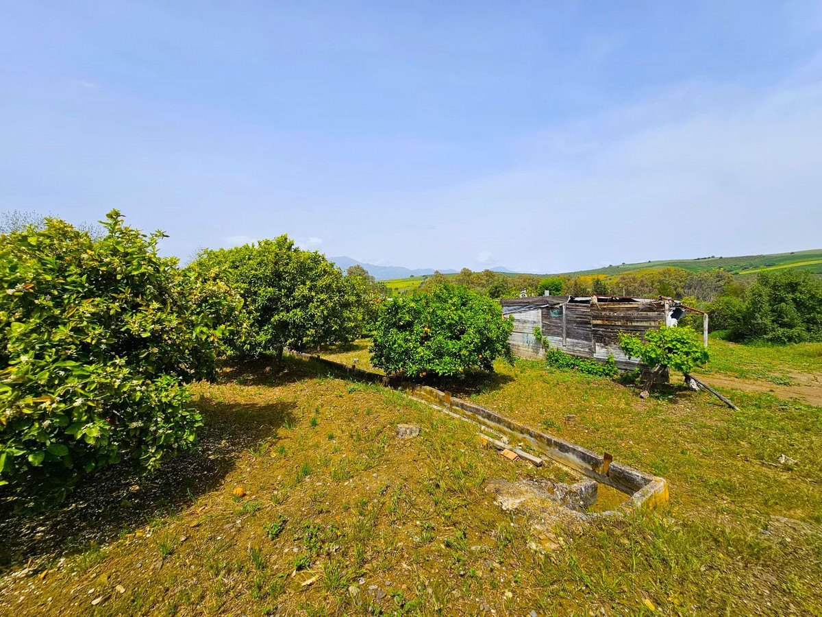 Finca - Cortijo te koop in Coín | 1 slaapkamers H5365894