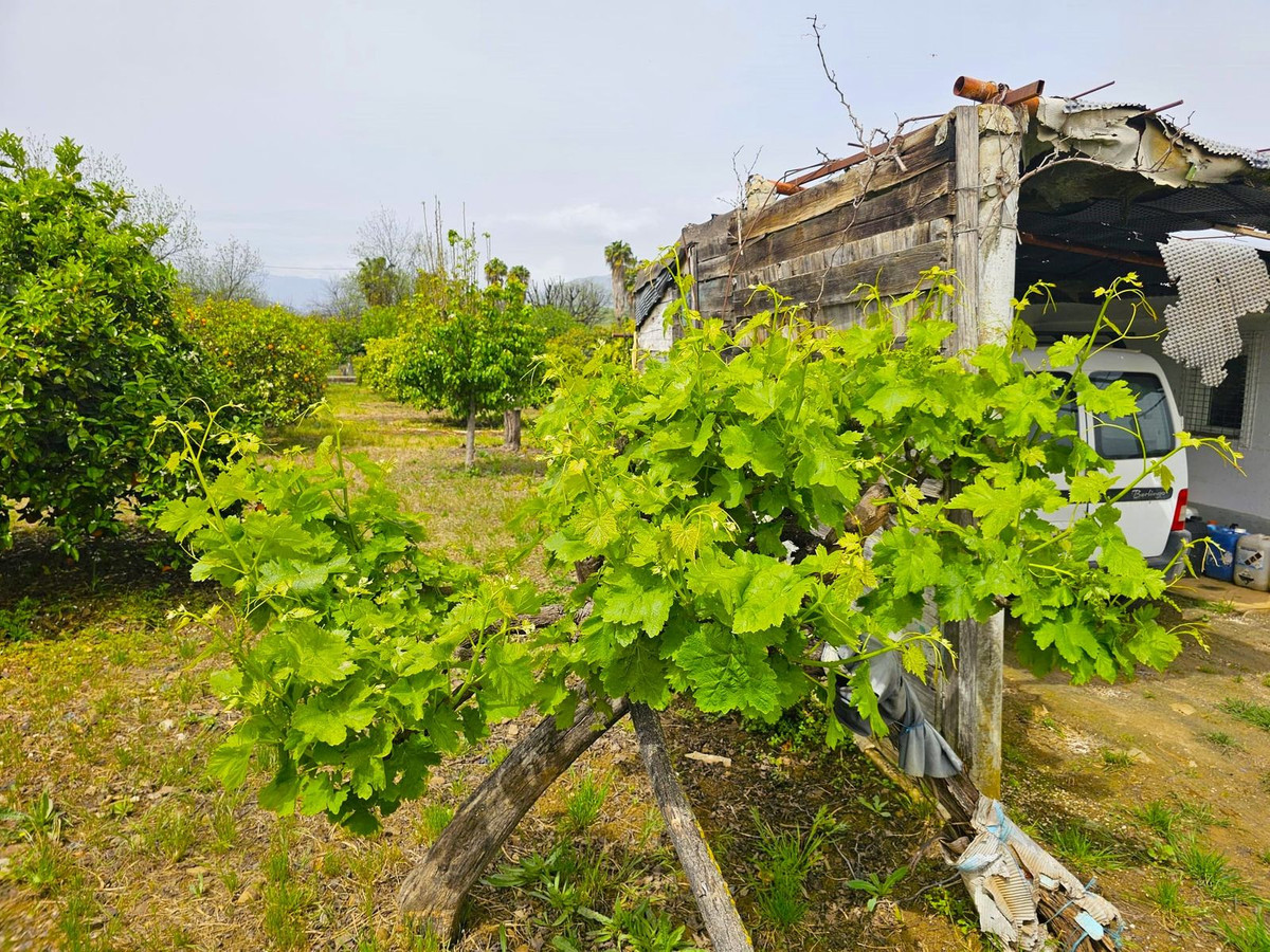 Finca - Cortijo te koop in Coín | 1 slaapkamers H5365894
