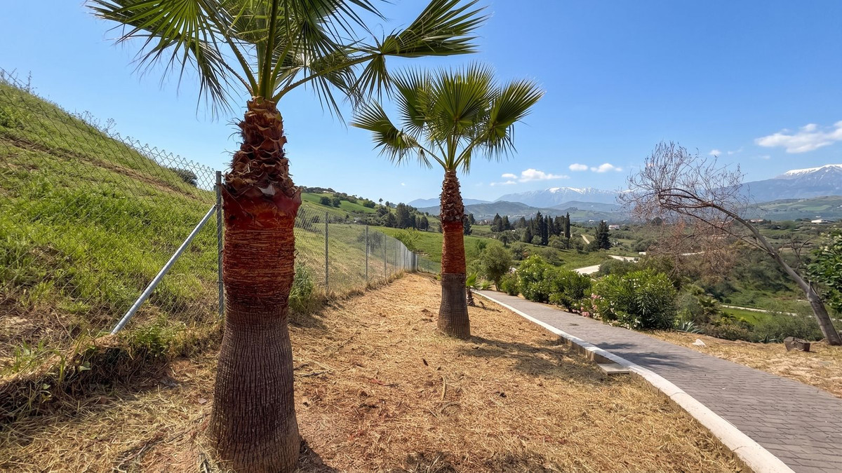 Property main view 12