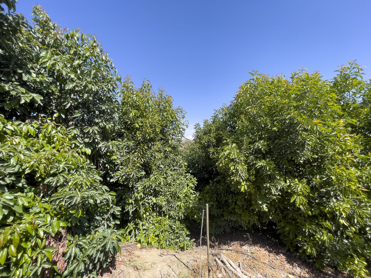 Finca - Cortijo te koop in Coín | 5 slaapkamers H5379109