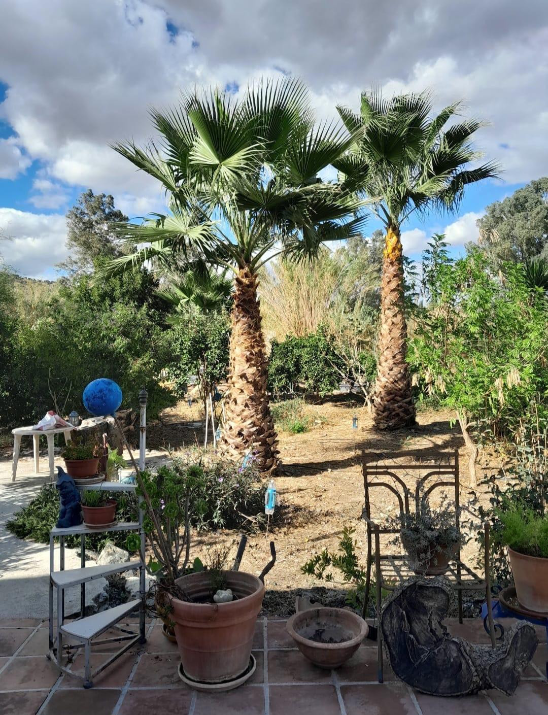 Finca - Cortijo te koop in Coín | 4 slaapkamers H5430730