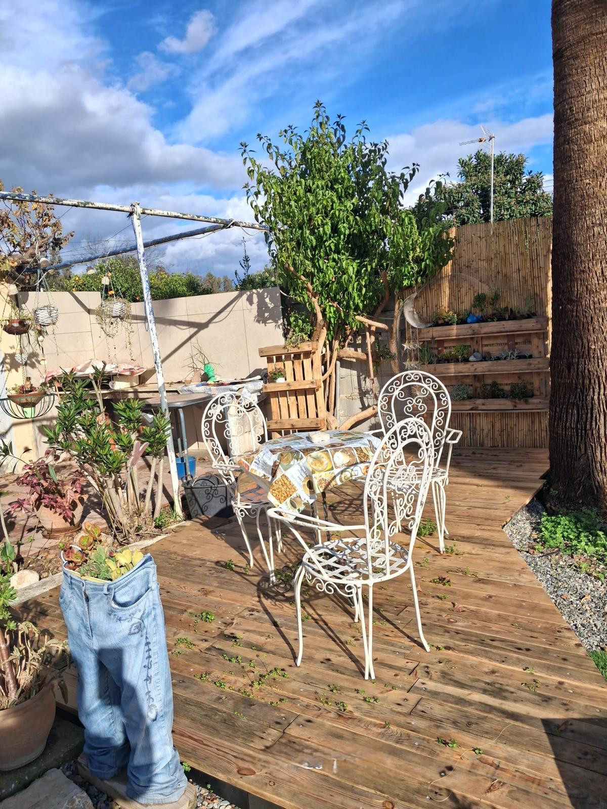 Finca - Cortijo te koop in Coín | 4 slaapkamers H5430730