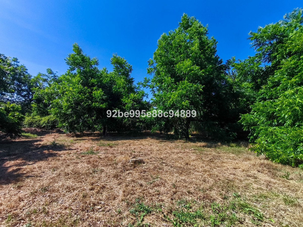Property main view 35