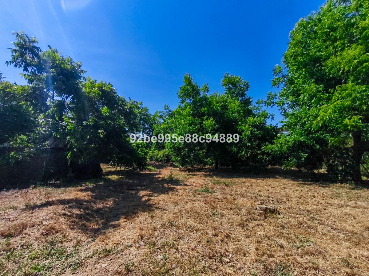 Property main view 37