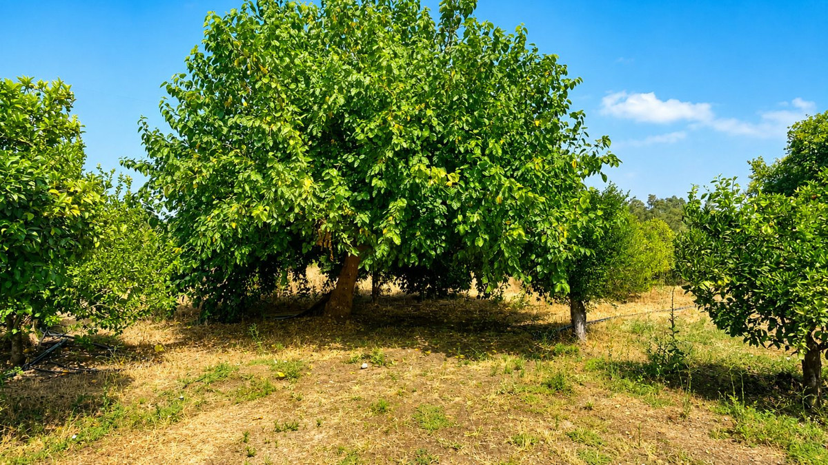 Property main view 39