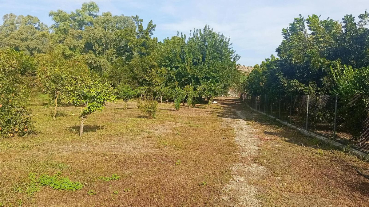 Property main view 16