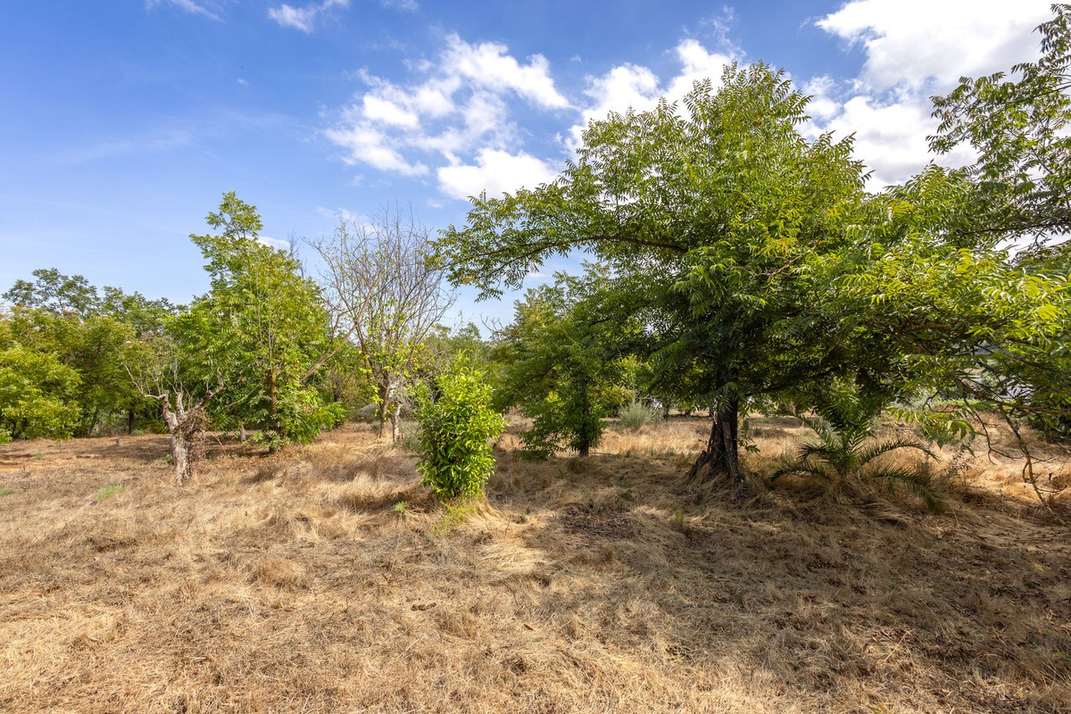 Finca - Cortijo te koop in Coín | 3 slaapkamers H5504074