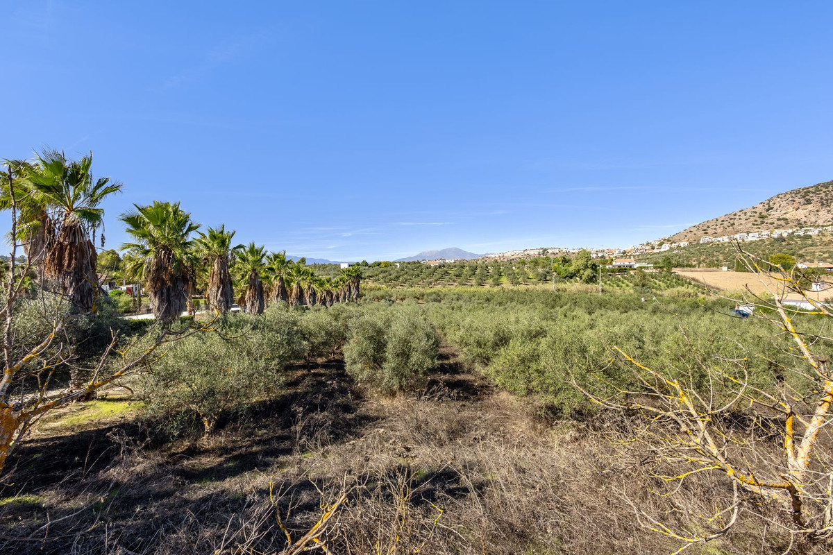 Property main view 25