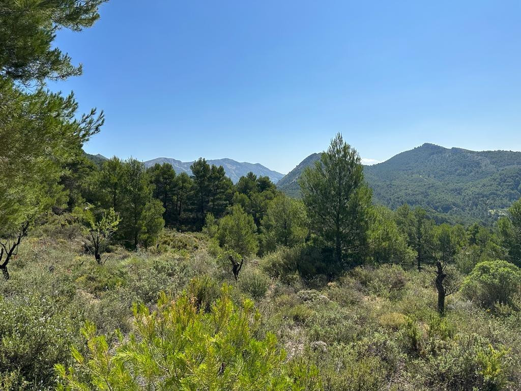 Property main view 2