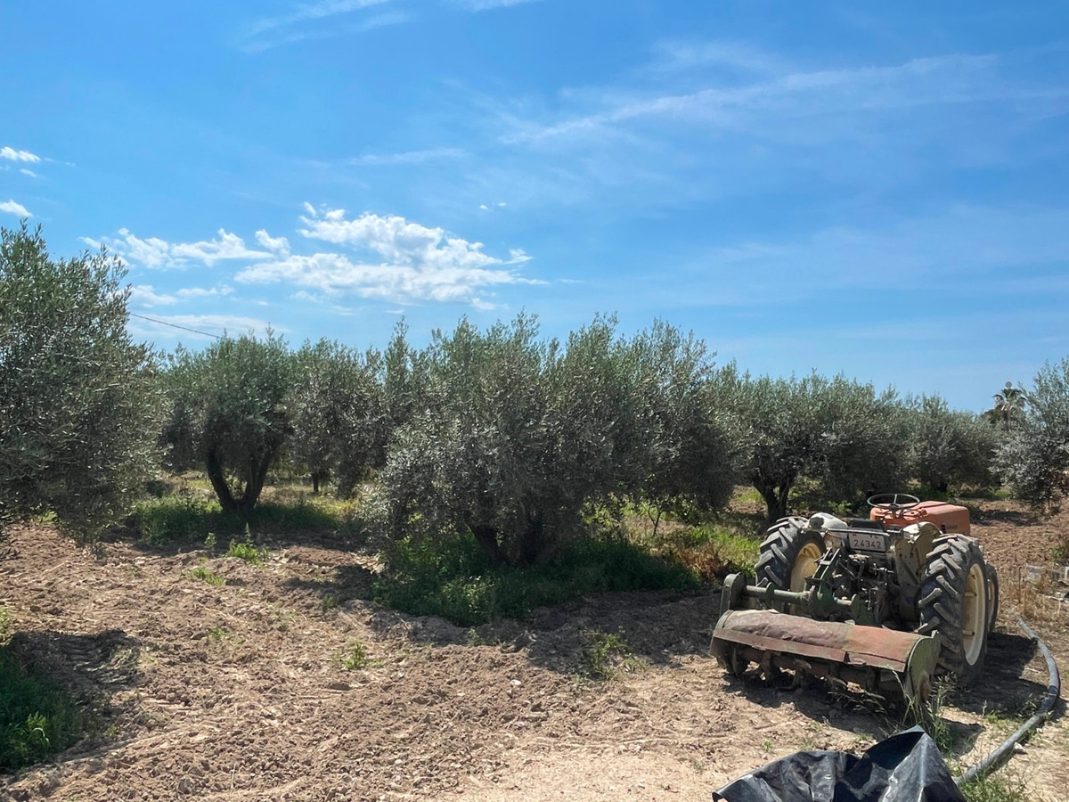 Huis te koop in Crevillent | 4 slaapkamers H5052811