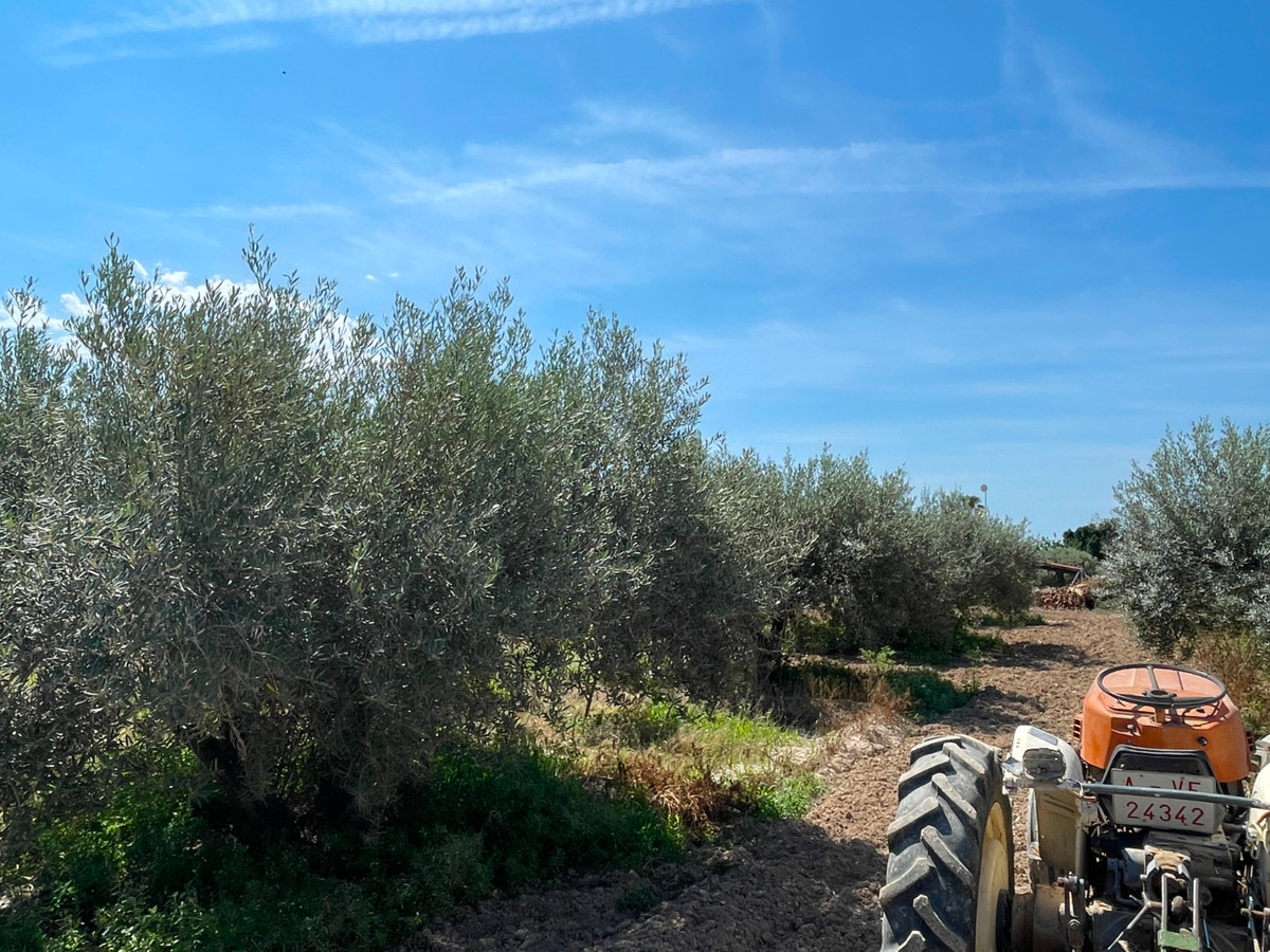 Huis te koop in Crevillent | 4 slaapkamers H5052811