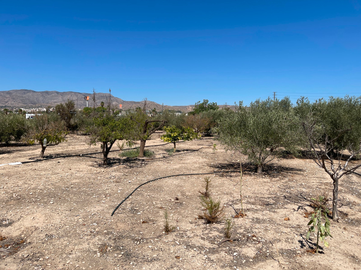 Huis te koop in Crevillent | 3 slaapkamers H5172913