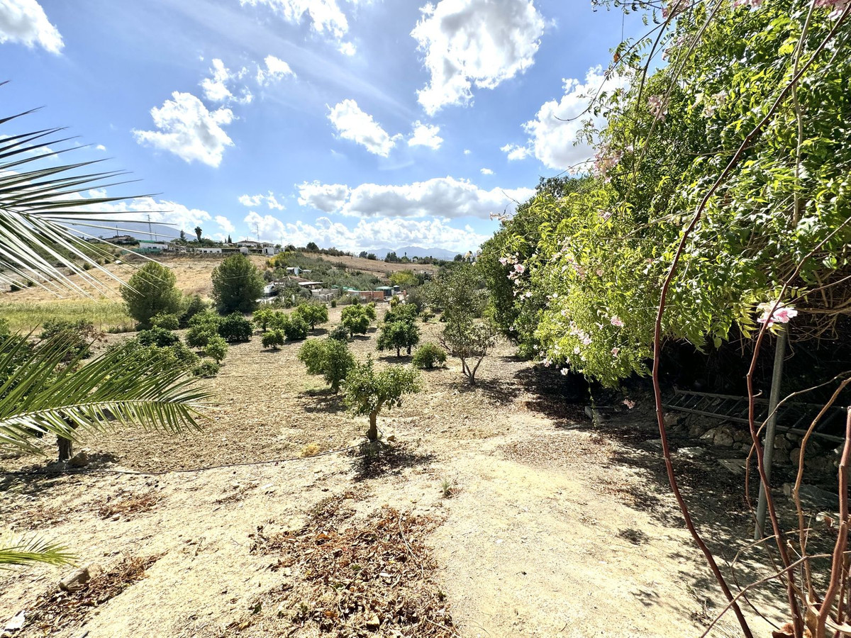 Finca - Cortijo in Cártama-29