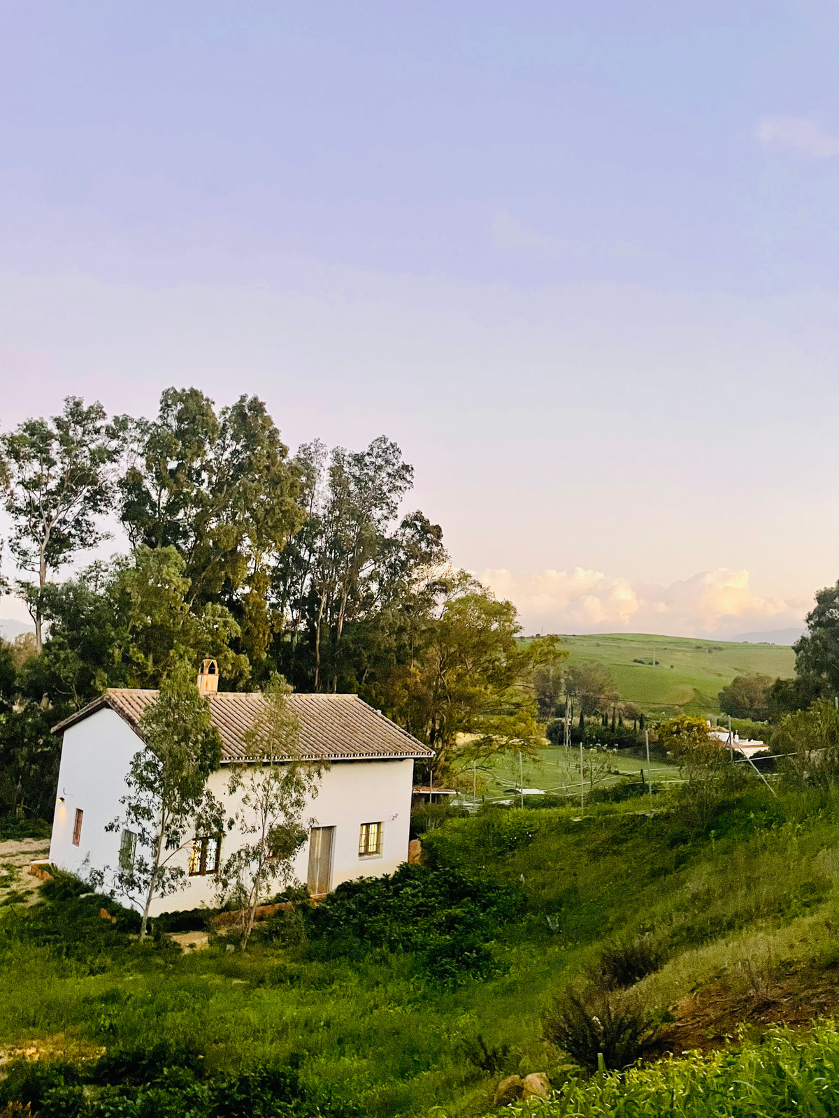 Finca - Cortijo in Cártama-21