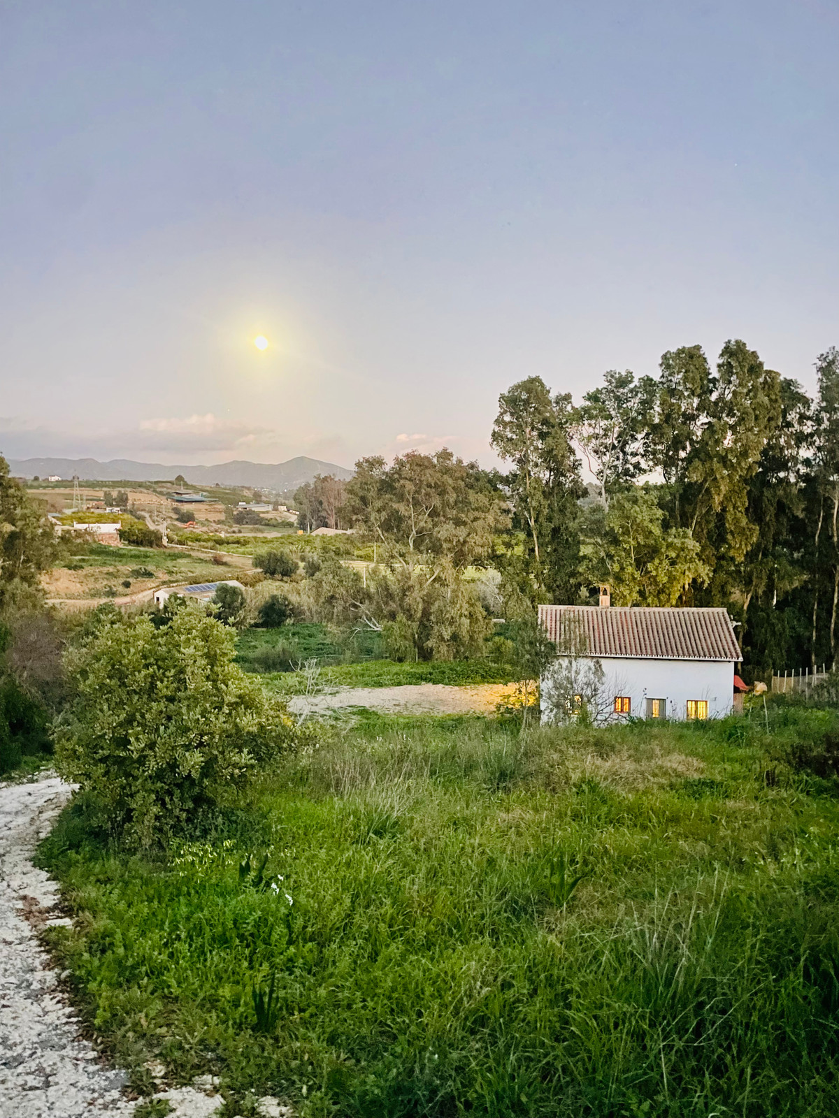 Finca - Cortijo in Cártama-22