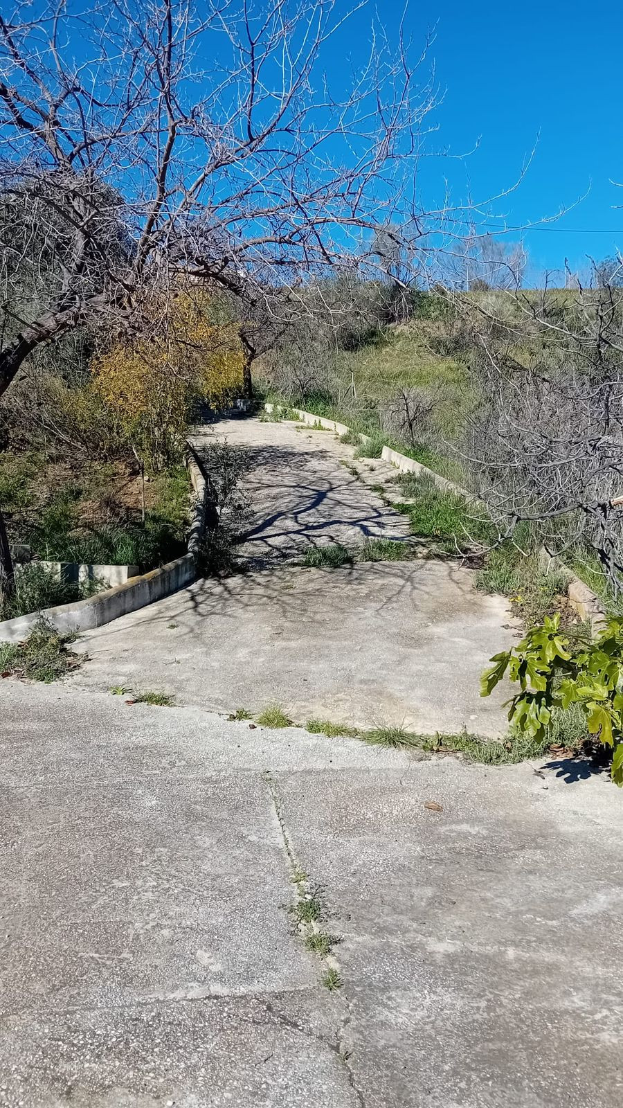 Finca - Cortijo in Cártama-19