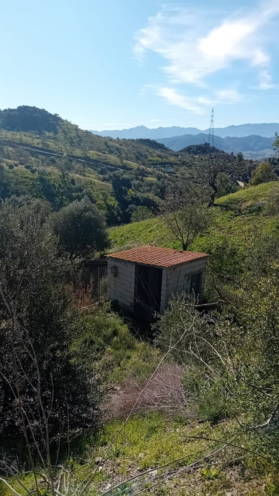 Finca - Cortijo in Cártama-37