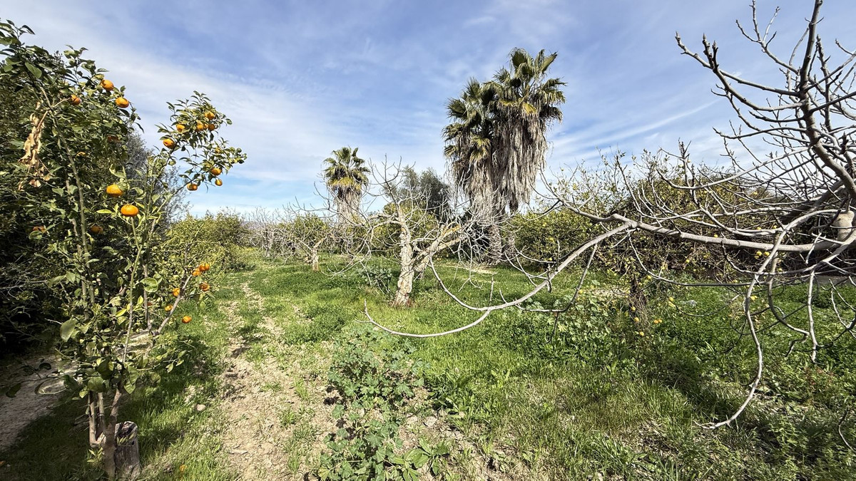 Finca - Cortijo in Cártama-17