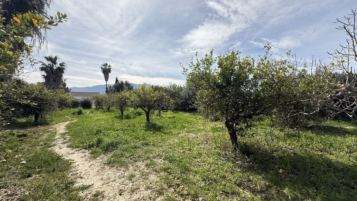 Finca - Cortijo in Cártama-2