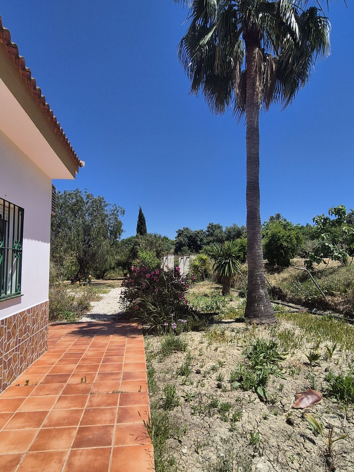 Finca - Cortijo te koop in Cártama | 3 slaapkamers H5046580