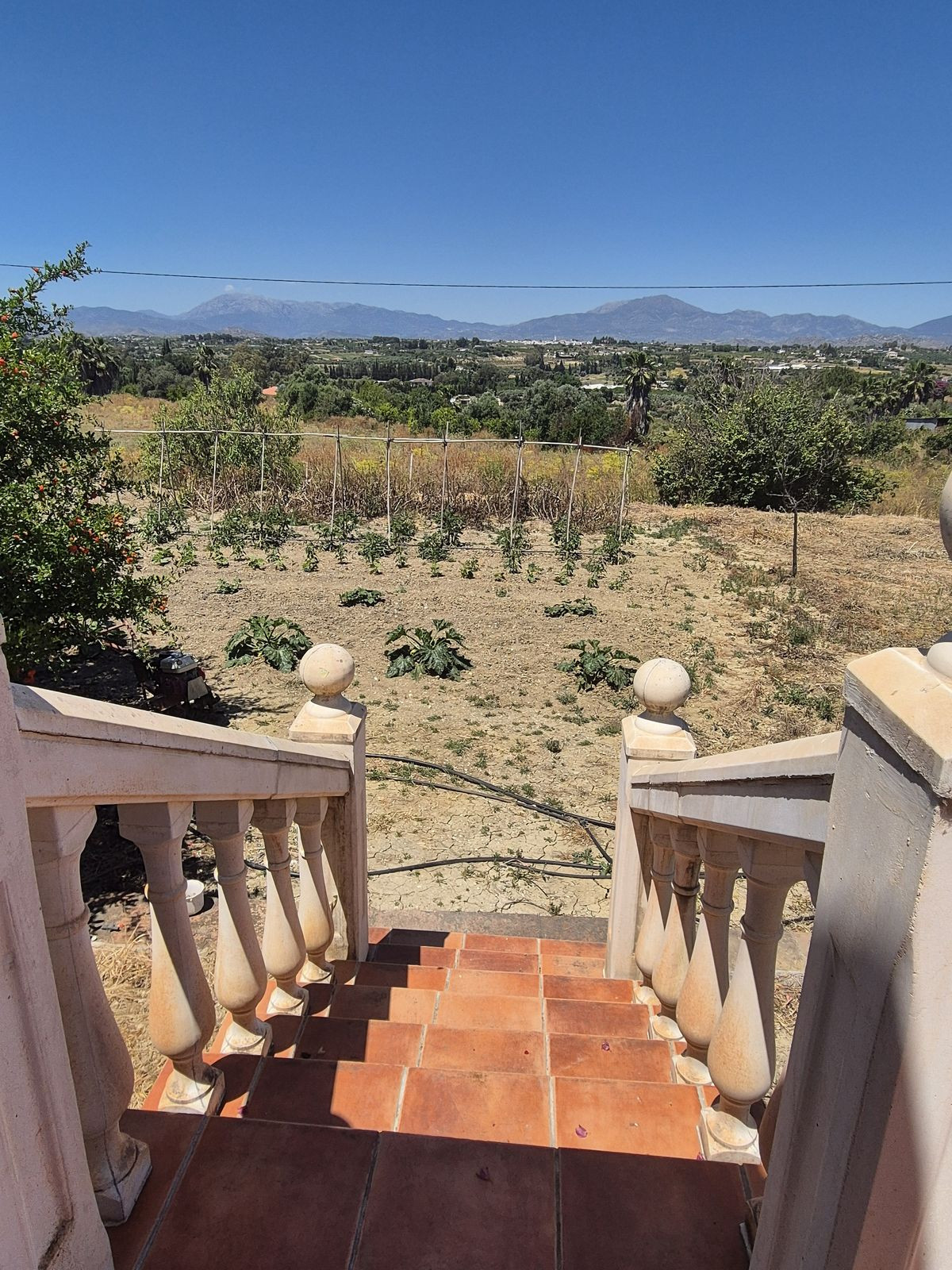 Finca - Cortijo te koop in Cártama | 3 slaapkamers H5046580