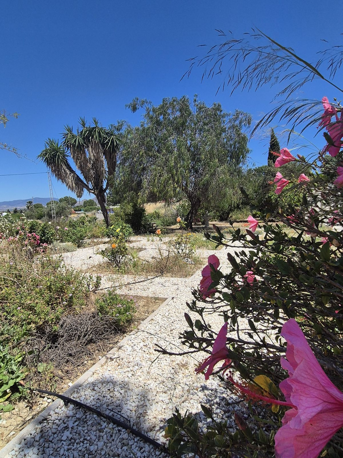 Finca - Cortijo te koop in Cártama | 3 slaapkamers H5046580