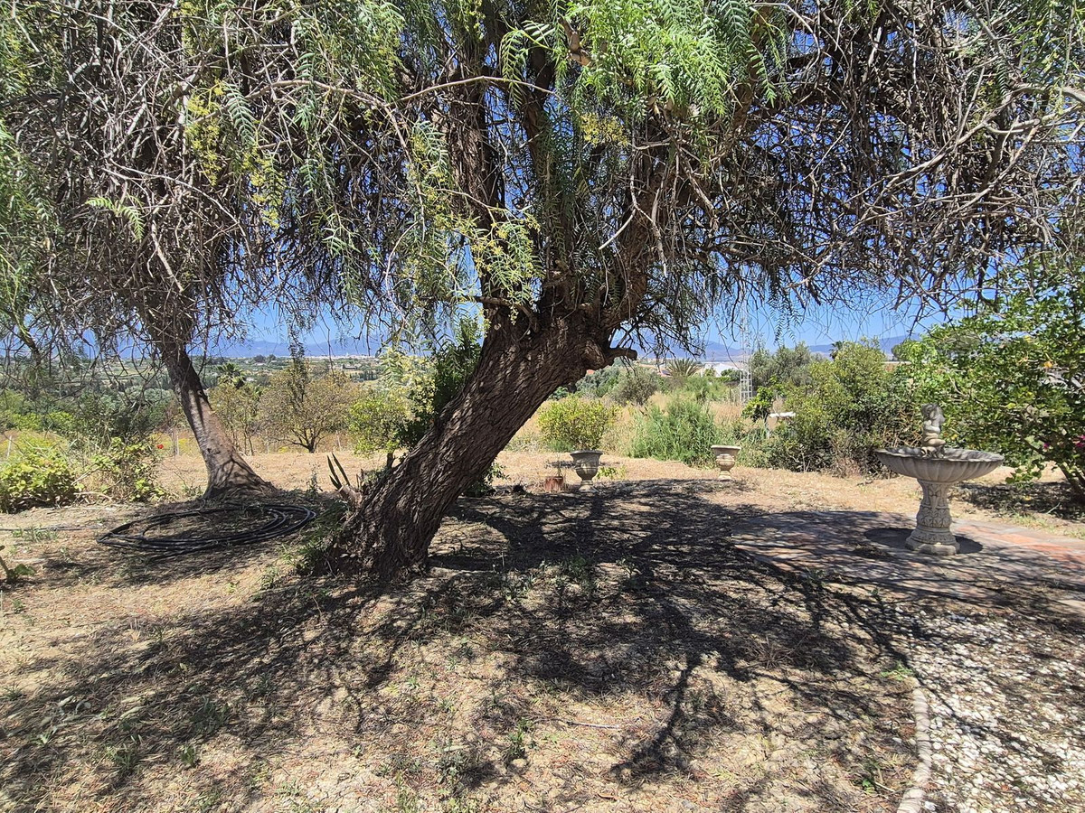 Finca - Cortijo te koop in Cártama | 3 slaapkamers H5046580