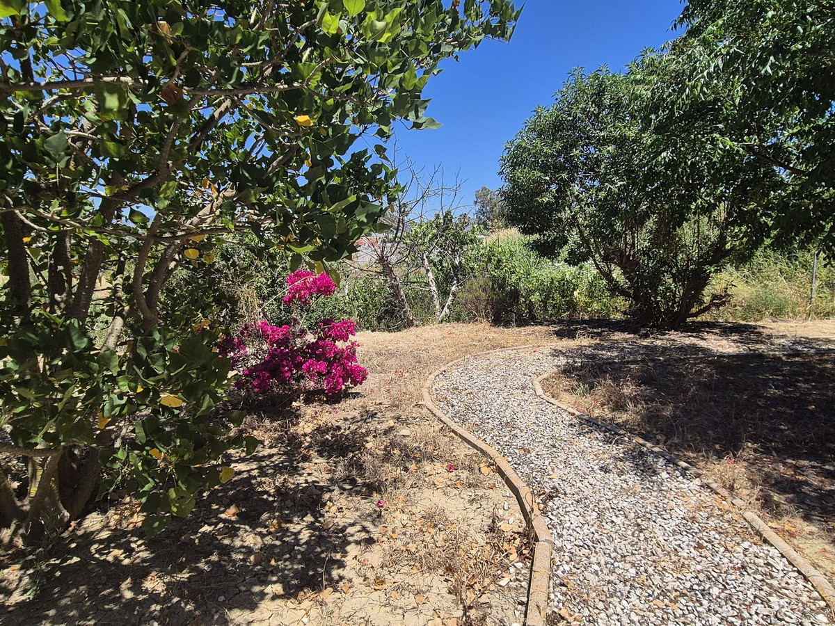 Finca - Cortijo te koop in Cártama | 3 slaapkamers H5046580