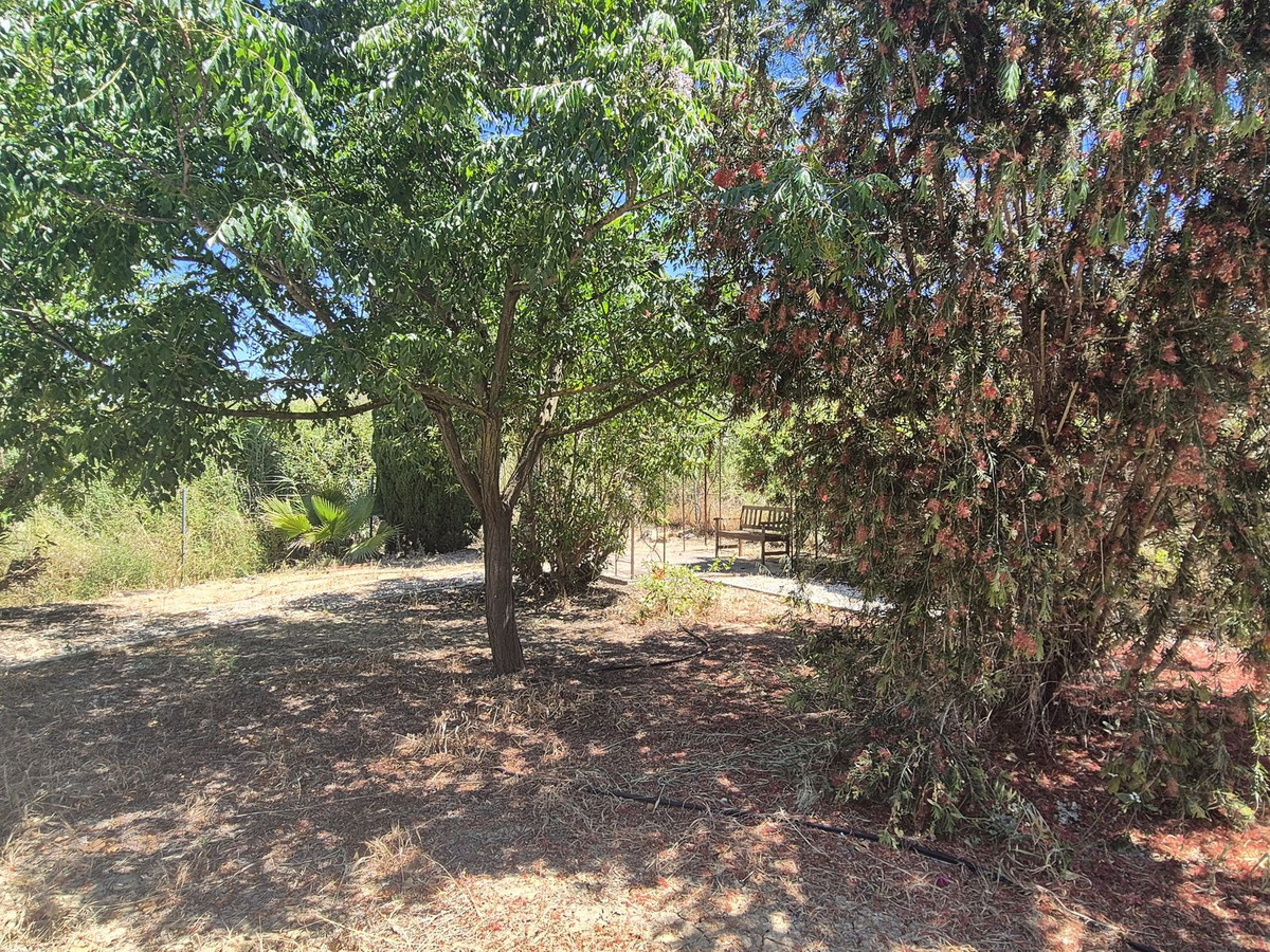 Finca - Cortijo te koop in Cártama | 3 slaapkamers H5046580
