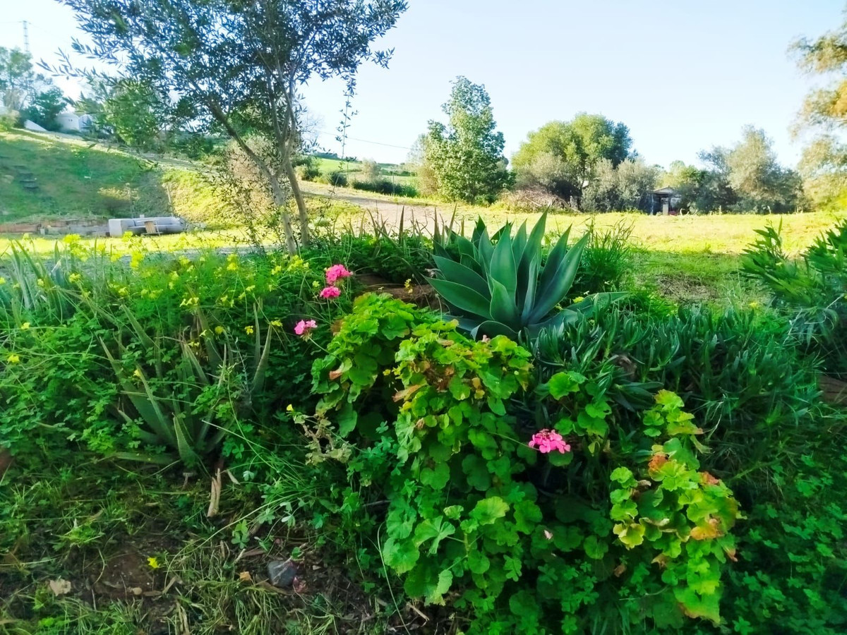 Finca - Cortijo te koop in Cártama | 2 slaapkamers H5081374