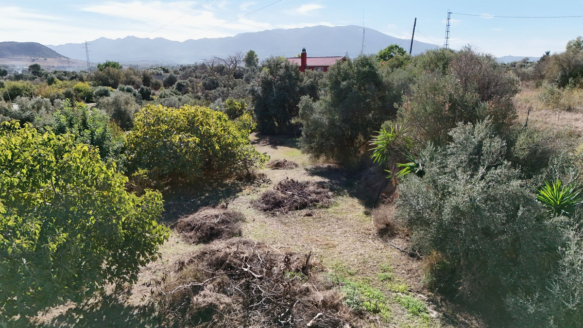 Finca - Cortijo te koop in Cártama | 4 slaapkamers H5218288