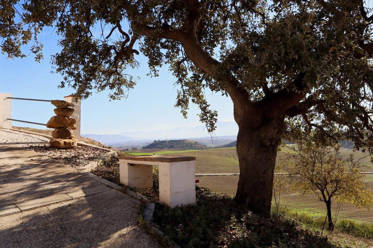 Finca - Cortijo te koop in Cártama | 3 slaapkamers H5238895