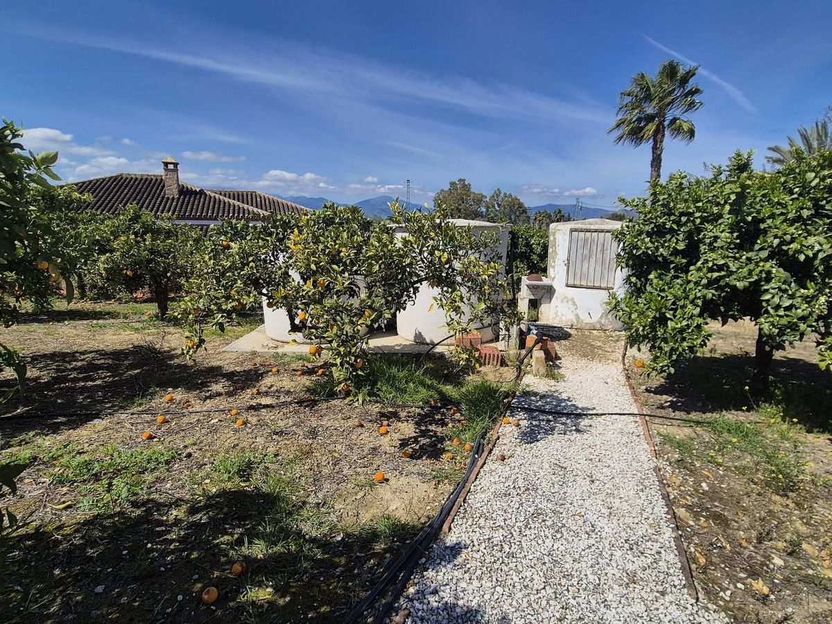 Property main view 50