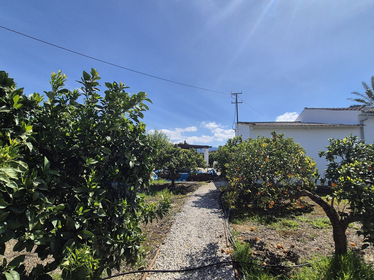 Property main view 51