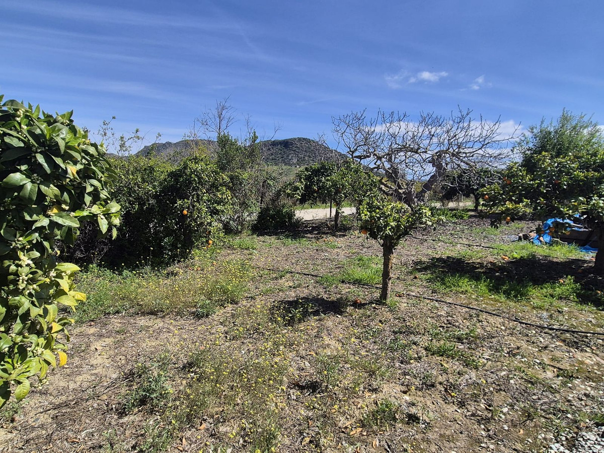 Property main view 52