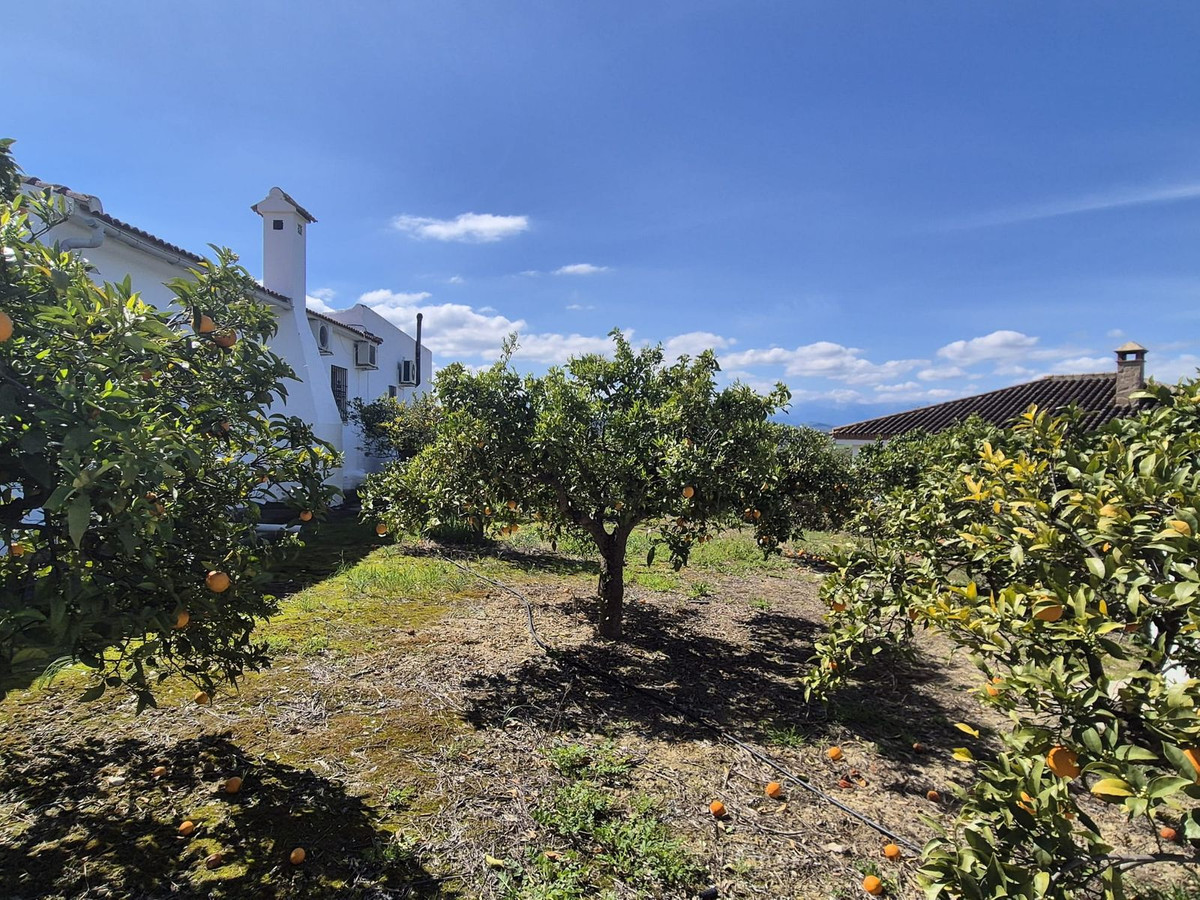 Property main view 53